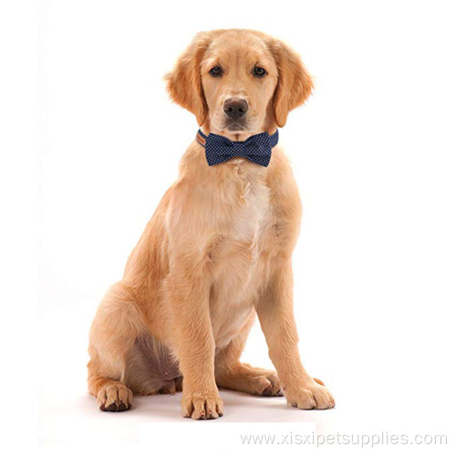 Pet Soft Comfortable Dog Cat Collar Personalized Quick